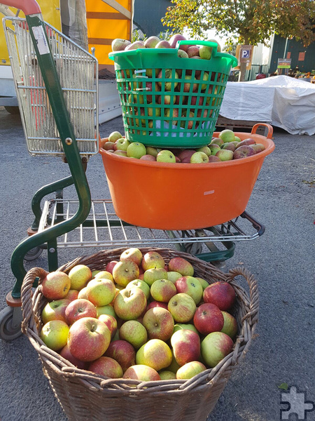 Köstlicher Anblick: Wer mehr als 50 Kilogramm Äpfel mitbringt, erhält seinen eigenen Apfelsaft aus dem Saftmobil. Foto: Krewelshof/pp/Agentur ProfiPress