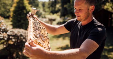 Björn Szeghedi möchte mit dem Verein „Bienenhilfe“ das Interesse der Menschen an Bienen wecken – und eine Lobby für Wildbienen schaffen. Foto: Bienenhilfe/pp/Agentur ProfiPress