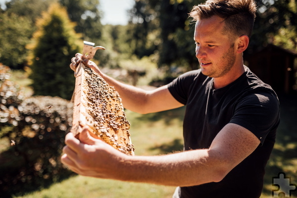 Björn Szeghedi möchte mit dem Verein „Bienenhilfe“ das Interesse der Menschen an Bienen wecken – und eine Lobby für Wildbienen schaffen. Foto: Bienenhilfe/pp/Agentur ProfiPress