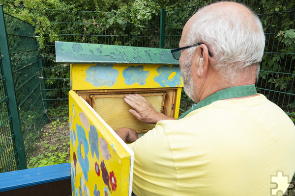 An der katholischen Grundschule Kommern hat Ludwig Schmitz zwei Völker und einen Schaukasten, um den Kindern das Bienenhobby näher zu bringen. Foto: Ronald Larmann/pp/Agentur ProfiPress