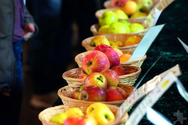 Das Freilichtmuseum Kommern feiert am Sonntag, 9. Oktober, mit seinen Gästen den „Tag des Apfels“. Dabei ist für viel Programm für Klein und Groß gesorgt. Foto: Hans-Theo Gerhards/LVR/pp/Agentur ProfiPress