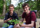 Zwei Schüler aus einem Leistungskurs Biologie am städtischen Mechernicher Gymnasium am Turmhof bei einer Exkursion zum Thema „Waldökologie“ im Nationalpark Eifel. Foto: Andreas Maikranz/GAT/pp/Agentur ProfiPress