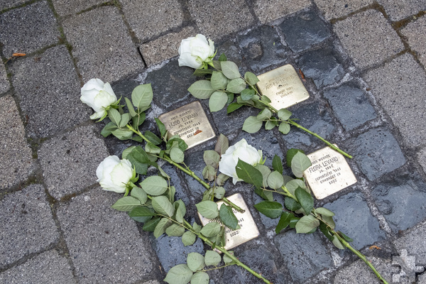 Vereint: Die Stolpersteine für die Geschwister Paula, Flora, Hugo und Arthur Levano in der Kölner Straße. Foto: Ronald Larmann/pp/Agentur ProfiPress