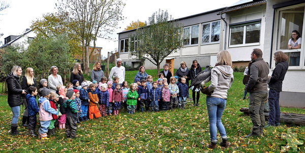 Gespannt hörten die Kinder und das Kita-Team Falkner Benno Wiesen zu. Foto: Reiner Züll/pp/Agentur ProfiPress
