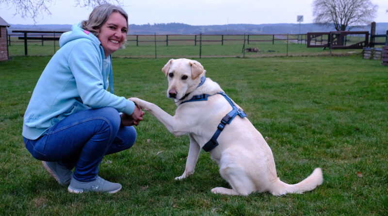 Die Bergheimerin Sabine Hansen hat ihren Labrador-Mischling Cuba zum Therapiehund ausgebildet – Einmal pro Woche sind sie bei den Vorschulkindern der AWO-Kita Glehn zu Gast – Bürgerantrag für eine Befreiung von der Hundesteuer – Ein Pressespiegel