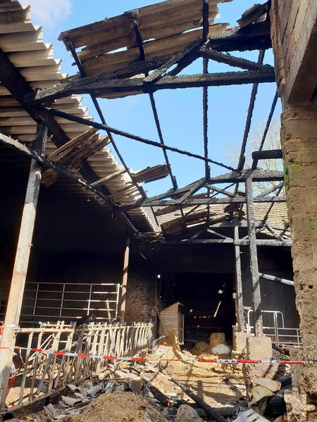 Das Dach konnte den hohen Flammen nicht standhalten. Für Teile des Stalls gilt weiterhin Einsturzgefahr. Foto: Jakob Priebe/Presseteam NRW/pp/Agentur ProfiPress