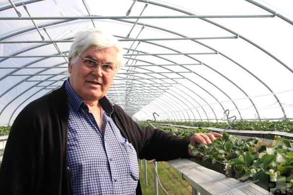 Landwirt Theo Bieger, der die beiden Krewelshöfe in Obergartzem und Lohmar betreibt, hofft Anfang Mai auf die ersten roten Erdbeeren. Foto: Steffi Tucholke/pp/Agentur ProfiPress