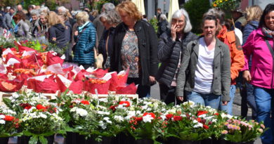 Mit einer bunten Blumen- und Pflanzenvielfalt lockt der beliebte Markt im historischen Kommern, der am Sonntag, 14. Mai, von 11 bis 18 Uhr stattfindet. Archivfoto: pp/Agentur ProfiPress