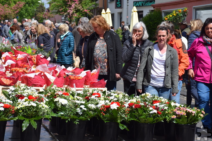 Mit einer bunten Blumen- und Pflanzenvielfalt lockt der beliebte Markt im historischen Kommern, der am Sonntag, 14. Mai, von 11 bis 18 Uhr stattfindet.  Archivfoto: pp/Agentur ProfiPress