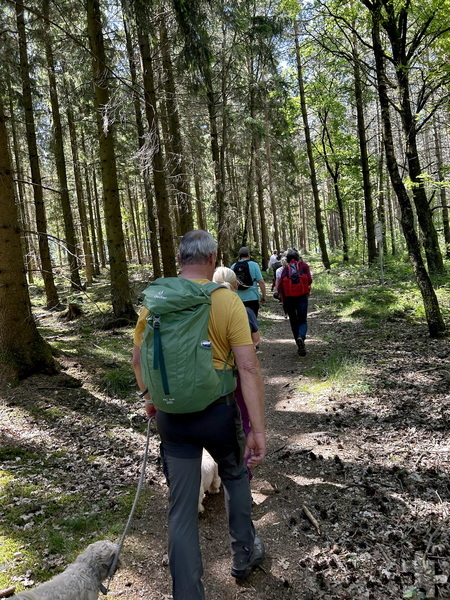 Informationen zu Wäldern, Klimawandel, dem Nationalpark Eifel und dem „Bergschadensgebiet“ trafen auf reges Interesse. Foto: David Rosenbaum/Eifelverein/pp/Agentur ProfiPress