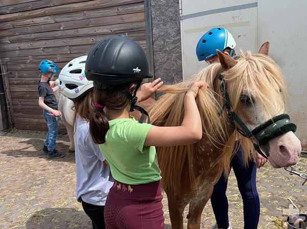 An zwei Terminen ging es für je acht Kinder zu Spiel und Spaß bei den Ponys der „Unicorn Ranch“ von Conny Wolff-Pfister in Kalenberg. Foto: Anja Lehmann/K.O.T./pp/Agentur ProfiPress