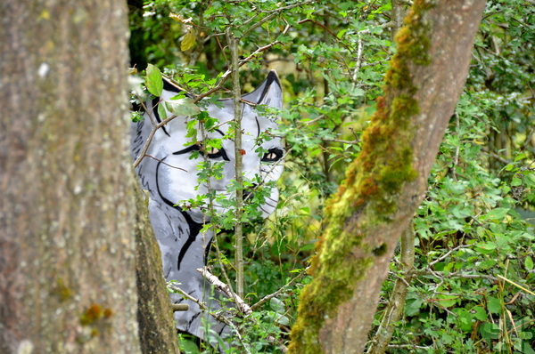 Der „Nationalparkpfad“ ist ebenso neu. Der rund 80 Meter lange, auf Paletten gebaute Weg, bietet Einblicke in den Nationalpark Eifel. Unterwegs entdeckt man im Wald hölzerne Tiere wie diese Wildkatze. Foto: Henri Grüger/pp/Agentur ProfiPress
