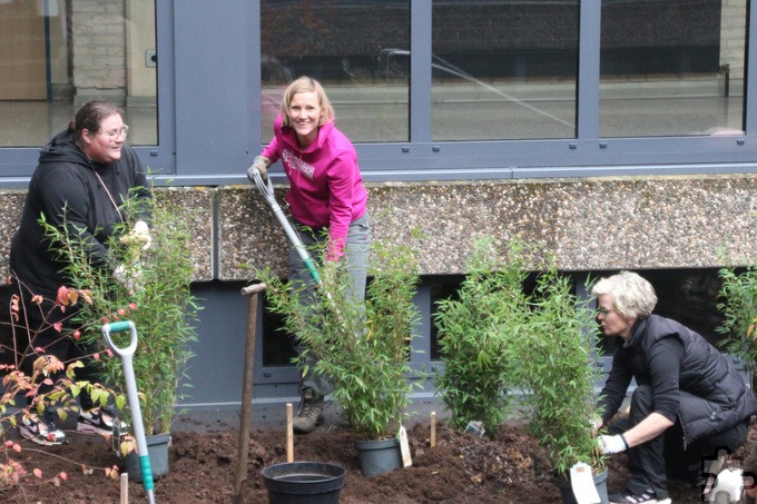 Insgesamt 150 Pflanzen mussten in die Erde im Innenhof der Gesamtschule Mechernich. Hier war Teamwork rund um Lehrerin Kathrin Simon (M.) gefragt. Foto: privat/pp/Agentur ProfiPress