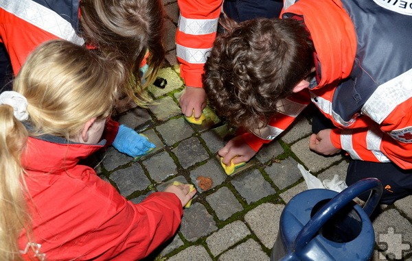 Jeder packte mit an: Gemeinsam mit ihrem Mechernicher Bereitschaftsleiter Sascha Suijkerland reinigten zehn junge Rotkreuzler 42 „Stolpersteine“ in ganz Kommern vom Zahn der Zeit wieder hin zu altem Glanz. Foto: Henri Grüger/pp/Agentur ProfiPress