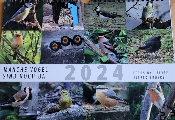 Auf dem Cover des neuen Vogelkalenders sind alle zwölf Monatsmotive zusammengefasst, die im Kalender gezeigt werden. Repro: Sabine Roggendorf/pp/Agentur ProfiPress