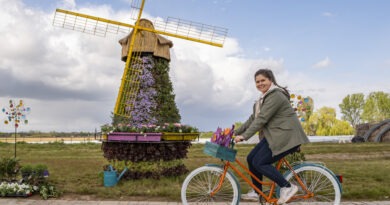 Urlaubsfeeling pur: Bibi Bieger radelt mit Tulpen im Fahrradkorb an einer blumigen Windmühle vorbei. Es ist die erste fertige Station der „Weltreise“-Frühlingsschau auf dem Krewelshof. Foto: Ronald Larmann/pp/Agentur ProfiPress