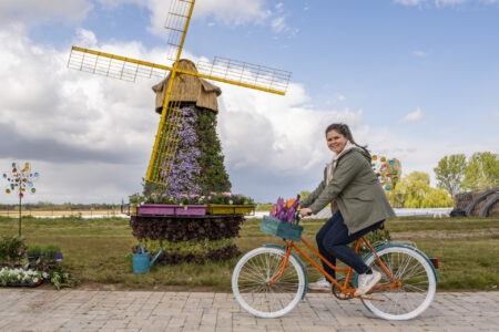 Urlaubsfeeling pur: Bibi Bieger radelt mit Tulpen im Fahrradkorb an einer blumigen Windmühle vorbei. Es ist die erste fertige Station der „Weltreise“-Frühlingsschau auf dem Krewelshof. Foto: Ronald Larmann/pp/Agentur ProfiPress