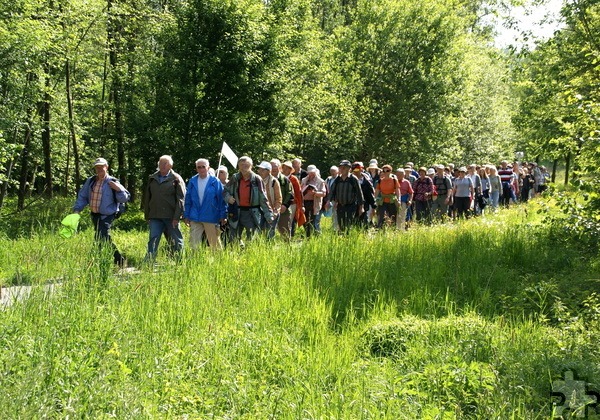 Insgesamt 20 Kilometer an geführten Wanderungen bietet der „Eifelverein Mechernich“ im Mai an. Symbolbild: Ruth Weitz/pixabay/pp/Agentur ProfiPress