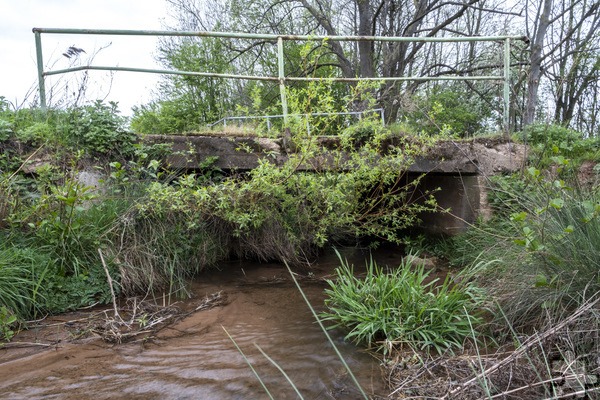 Zugewachsen und marode: Das Bild vom April dieses Jahres zeigt die Floisdorfer Brücke vor der Erneuerung. Foto: Ronald Larmann/pp/Agentur ProfiPress