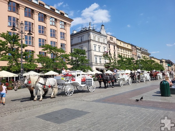 Pferdedroschken bringen Touristen durch die Altstadt von Krakau. Sie starten hier am alten 200 mal 200 Meter großen Marktplatz Rynek, dem Herzen der Stadt und einer der größten mittelalterlichen Marktplätze Europas. Foto: Manfred Lang/pp/Agentur ProfiPress