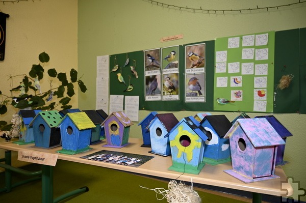 15 Projekte rund um Naturschutz haben die Kids in ihrer Projektwoche umgesetzt. So haben sie Vogelhäuser gebaut… Foto: Henri Grüger/pp/Agentur ProfiPress