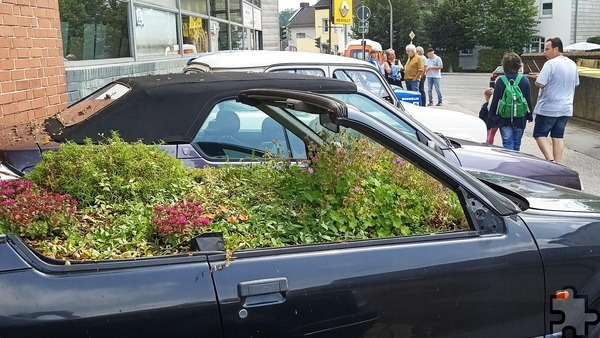 Ein alter bepflanzter Renault vor dem Autohaus Hück ist ein Refugium für Wildbienen. Foto: Reiner Züll/pp/Agentur ProfiPress