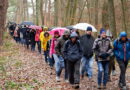 Ganz so viele Teilnehmer wie die jüngste Silvesterwanderung 2023 am Mechernicher Bleiberg haben die Sommerwanderungen nach den Gottesdiensten der Gemeinschaft der Gemeinden St. Barbara Mechernich zwar nicht, aber es machen sich jeweils eine ganze Reihe Messbesucher nachher auf Erkundung der näheren Heimat. Foto: Stephan Everling/pp/Agentur ProfiPress