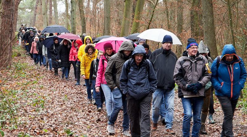 Ganz so viele Teilnehmer wie die jüngste Silvesterwanderung 2023 am Mechernicher Bleiberg haben die Sommerwanderungen nach den Gottesdiensten der Gemeinschaft der Gemeinden St. Barbara Mechernich zwar nicht, aber es machen sich jeweils eine ganze Reihe Messbesucher nachher auf Erkundung der näheren Heimat. Foto: Stephan Everling/pp/Agentur ProfiPress