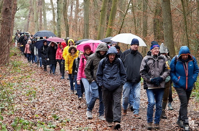 Ganz so viele Teilnehmer wie die jüngste Silvesterwanderung 2023 am Mechernicher Bleiberg haben die Sommerwanderungen nach den Gottesdiensten der Gemeinschaft der Gemeinden St. Barbara Mechernich zwar nicht, aber es machen sich jeweils eine ganze Reihe Messbesucher nachher auf Erkundung der näheren Heimat. Foto: Stephan Everling/pp/Agentur ProfiPress