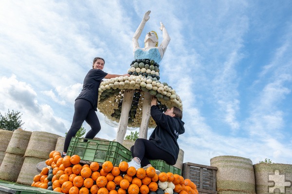 Die Ballerina steht auf einem orangefarbenen Podest während Krewelshof-Mitarbeiterinnen ihr ein Tutu aus Kürbissen „maßschneidern“. Foto: Ronald Larmann/pp/Agentur ProfiPress