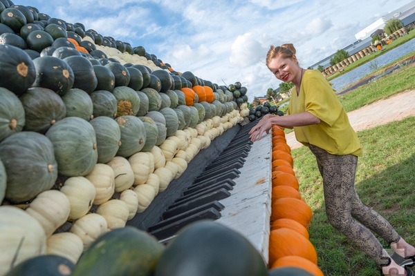 Haut in die Tasten eines übergroßen Kürbis-Klaviers: Krewelshof-Marketing-Chefin Amalia T. Angi, die sich noch über weitere Helferinnen und Helfer für die Kürbisschau freut. Foto: Ronald Larmann/pp/Agentur ProfiPress