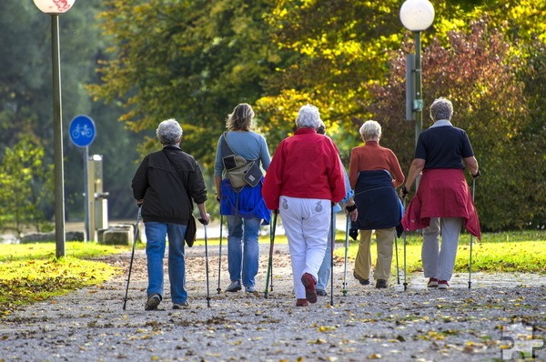 Die DRK-Familienbildung bietet den Outdoor-Kurs „Walking für Fitness und Wohlbefinden“ für Erwachsene ab 27. August im Euskirchener Stadtwald an. Symbolbild: Mario Ohibsky/pixabay/pp/Agentur ProfiPress