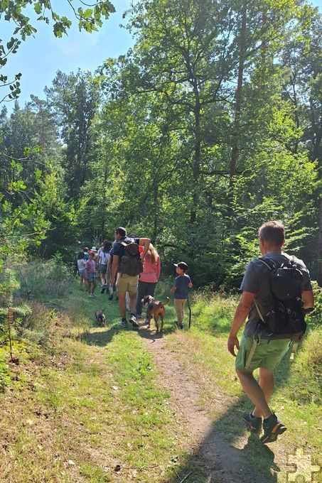 Auf dem Weg zum Sühnekreuz: Vor der Lesung an den Katzensteinen gab es eine anderthalbstündige Wanderung geführt von Horst Müller, dem Vorsitzenden der Eifelvereins-Ortsgruppe Mechernich. Foto: Kerstin Lehner/pp/Agentur ProfiPress