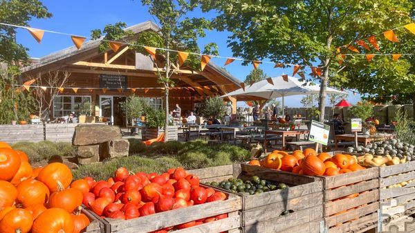 Die Besucher der Krewelshöfe werden in diesen Tagen von einer großen Auswahl an Kürbissen empfangen. Bei gutem Herbstwetter lädt die Außengastronomie zum Verweilen und Genießen ein. Foto: Krewelshof/pp/Agentur Profipress