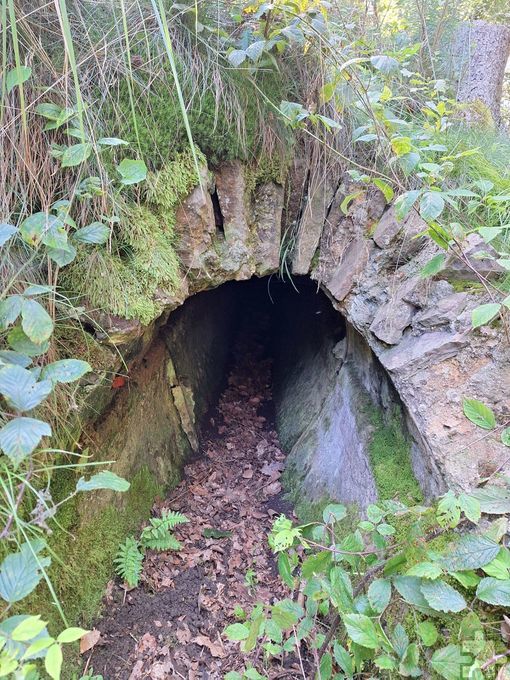 Auch Teile des Römerkanals gab es im Wald zu entdecken. Wanderführer Horst Müller berichtete viel Wissenswerts zur Geschichte der römischen Wasserleitung und zum Sühnekreuz. Foto: Kerstin Lehner/pp/Agentur ProfiPress