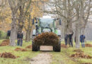 Laubsammeln in Mechernich-Wachendorf am 7. Dezember