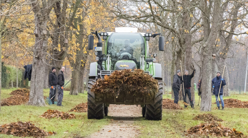 Laubsammeln in Mechernich-Wachendorf am 7. Dezember