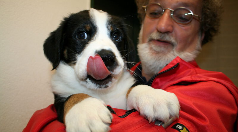 Am 1. Dezember wird im Mechernicher Tierheim weihnachtlich getrödelt, was das Zeug hält. Dazu spielt die Gruppe „Eifelsound“ live. Archivbild: pp/Agentur ProfiPress