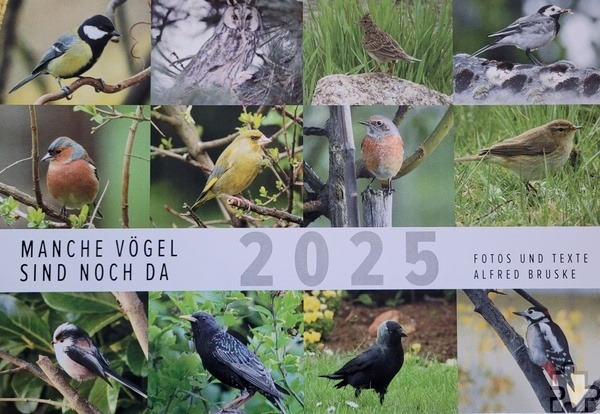 Zum Selbstkostenpreis von zwölf Euro ist der neue Vogelkalender von Alfred Bruske erhältlich. Repro: Sabine Roggendorf/pp/Agentur ProfiPress