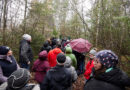 Silvesterwanderung des Bergbaumuseums