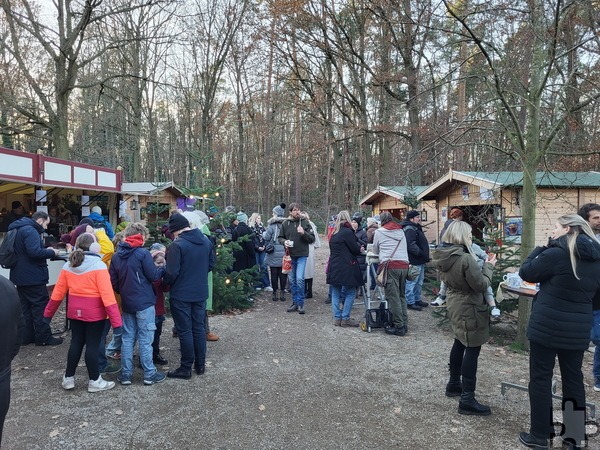 Auf dem Adventsmarkt im Pingsdorfer Tanzsaal und davor gab es Spielzeug, Papeterie, Glaskunst, Patchwork und vieles mehr. Foto: Manfred Lang/pp/Agentur ProfiPress