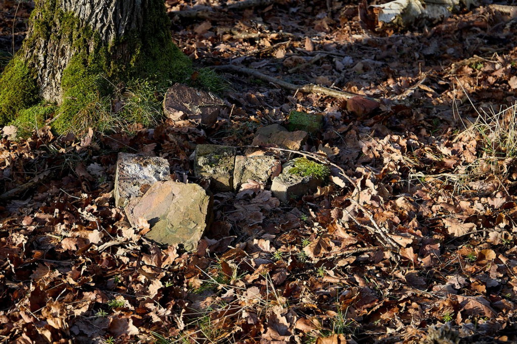 Entlang des Weges gab es viele bergbauhistorische Überbleibsel zu bestaunen, auch wenn sie noch so schwer zu entdecken waren. Foto: Stephan Everling/pp/Agentur ProfiPress