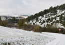 Wacholder, Wind und Wolken