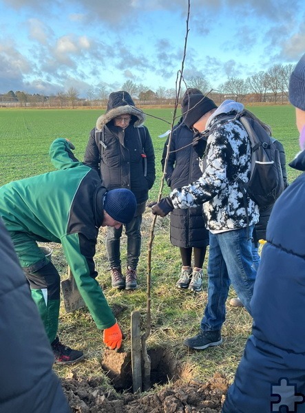 Auf einer Streuobstwiese am Rande von Flamersheim hatte der ehemalige Lehrer Heinrich Wolf (l.) bereits Obstbäume gepflanzt. Foto: Andreas Maikranz/pp/Agentur ProfiPress