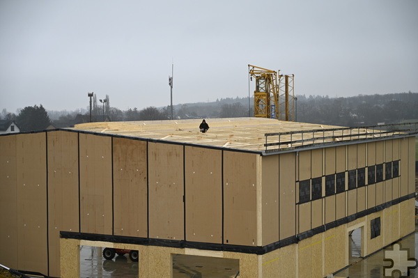 Bis Mitte März hoffen die beteiligten Firmen, mit dem Dach der Turnhalle fertig zu sein, um Fenster einbauen zu können. 