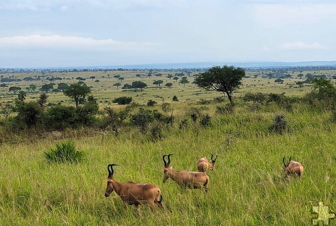 Besondere Erinnerungen hat Emma Göken schon zu Hauf gesammelt, beispielsweise auf einer Safari in der weitläufigen Savanne. Foto: Emma Göken/pp/Agentur ProfiPress