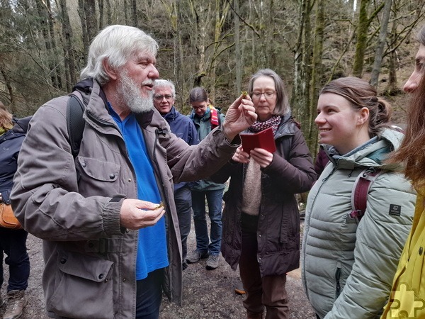 An Moos-Exkursionen mit dem Botaniker Dr. Karl-Heinz Linne von Berg kann man ab 8. März teilnehmen. Treffpunkt ist das Naturschutz-Bildungshaus Eifel-Ardennen-Region. Foto: Maria Pfeifer/pp/Agentur ProfiPress