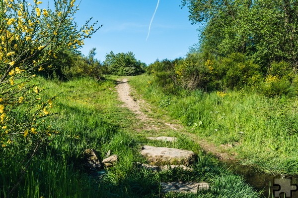 Zu einer Wanderung „Op Platt“ lädt am Ostermontag, 21. April, die Schleidener Gesellschaft für Wirtschaft, Tourismus und Veranstaltungen ein. Fotos: GfW/pp/Agentur ProfiPress