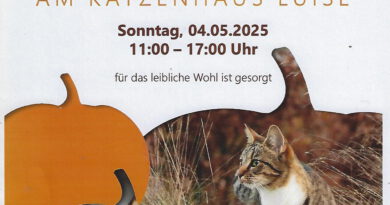 Am 4. Mai wird im Mechernicher Tierheim wieder getrödelt, was das Zeug hält. Die Einnahmen verwendet man für die Planung eines neuen Hundehauses. Grafik: Tierheim Mechernich/pp/Agentur ProfiPress