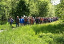 Interessierte können im Mai und Juni wieder drei geführte Wanderungen mit dem „Eifelverein Mechernich“ unternehmen. Symbolbild: Ruth Weitz/pixabay/pp/Agentur ProfiPress